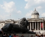lion-et-national-gallery